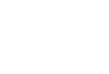 Partner 4